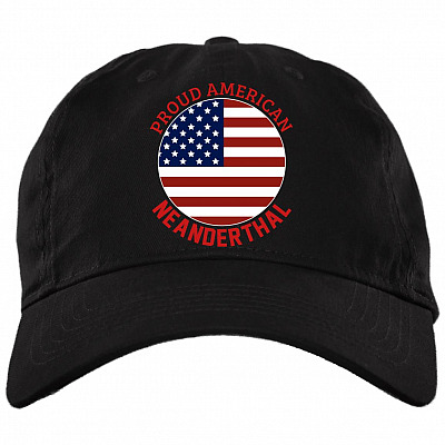 Brushed Twill Dad Cap