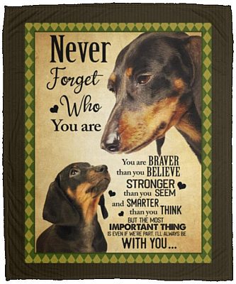 Dachshund Canvas, White, Cozy Plush Fleece Blanket - 50x60