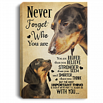 Dachshund Never Forget That Who You Are You Are Braver Gallery Wrapped Framed Canvas Prints - Unframed Poster, White, 0.75'' Framed Canvas