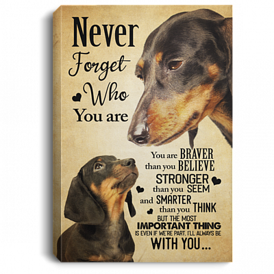 Dachshund Never Forget That Who You Are You Are Braver Gallery Wrapped Framed Canvas Prints - Unframed Poster, White, 0.75'' Framed Canvas