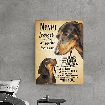 Alternative view of Dachshund Never Forget That Who You Are You Are Braver Gallery Wrapped Framed Canvas Prints - Unframed Poster