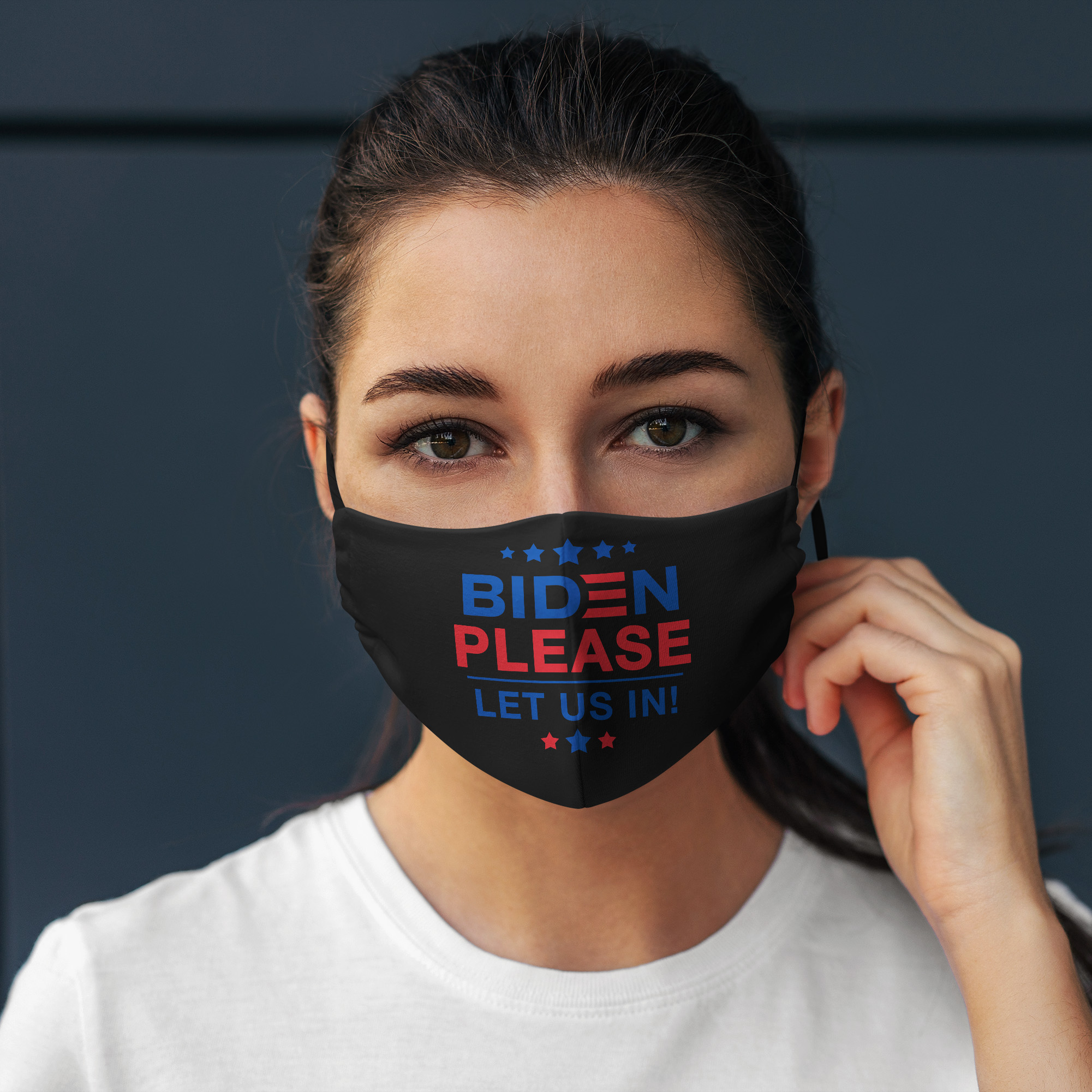 12VT. Biden Let Us In mask mk1