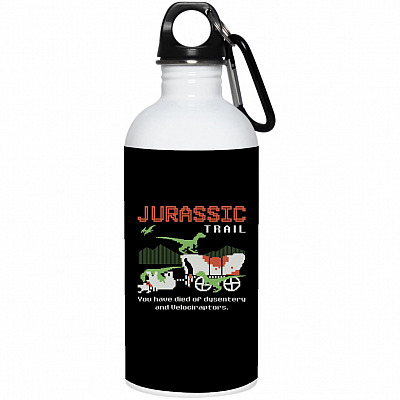 20 oz. Stainless Water Bottle