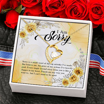 I am Sorry Sorry Is A Small Word Of A Big Mistake Forever Love Pendant Necklace