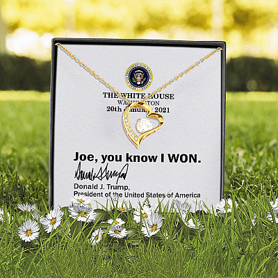 Joe You Know I Won Funny Trump White House Note 2021 Forever Love Pendant Necklace