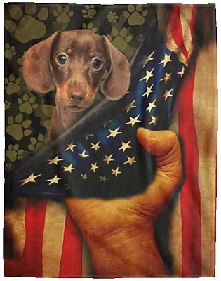 Cozy Plush Fleece Blanket - 60x80