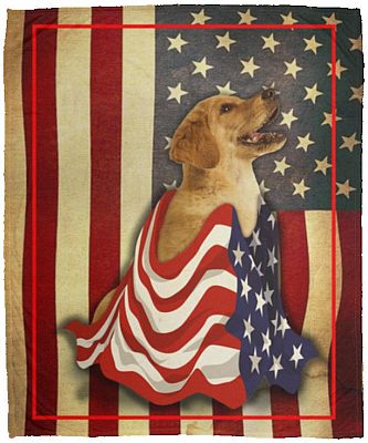 Golden Blanket, White, Cozy Plush Fleece Blanket - 50x60