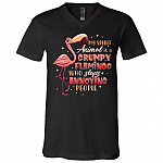 My Spirit Animal Is A Grumpy, Black, V-Neck T-Shirt My Spirit Animal Is A Grumpy, Black, V-Neck T-Shirt