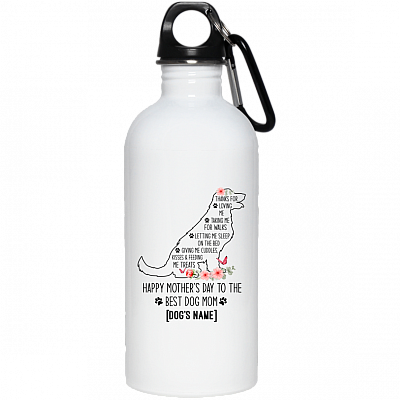 20 oz. Stainless Water Bottle