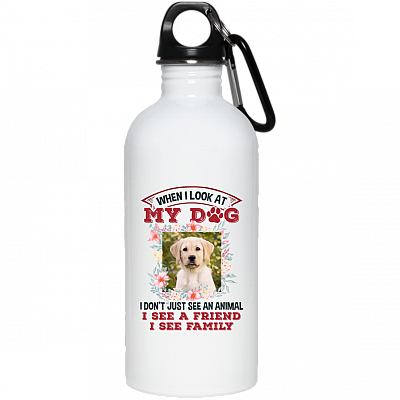 20 oz. Stainless Water Bottle