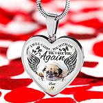 5VT. Pet I Will Carry You With Me_2