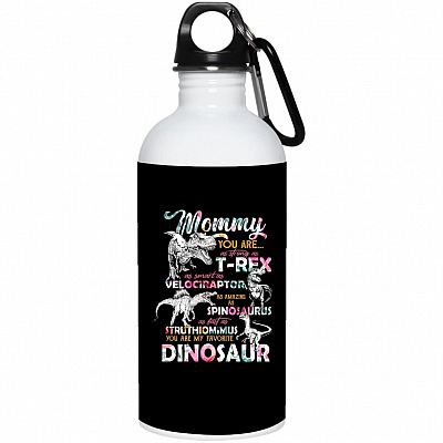20 oz. Stainless Water Bottle