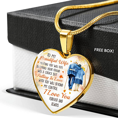 To My Beautiful Wife Meeting You Was Fate Becoming Your Friend Was a Choice Old Couple Heart Pendant Necklace
