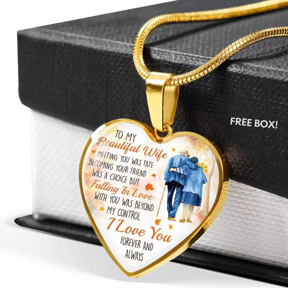 To My Beautiful Wife Meeting You Was Fate Becoming Your Friend Was a Choice Old Couple Heart Pendant Necklace