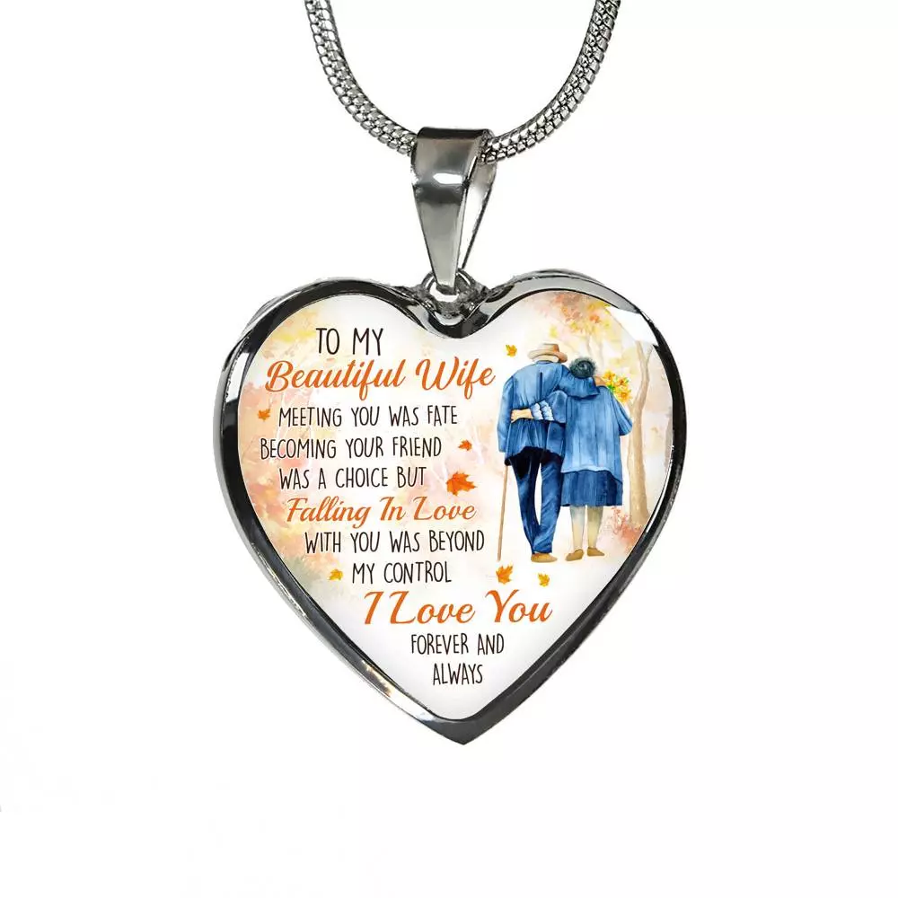 To My Beautiful Wife Meeting You Was Fate Becoming Your Friend Was a Choice Old Couple Heart Pendant Necklace