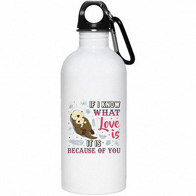 20 oz. Stainless Water Bottle