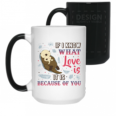 15 oz. Color Changing Mug