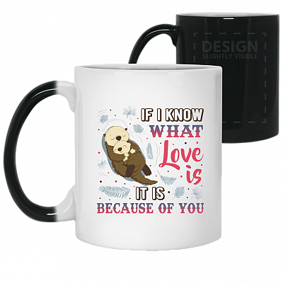 11 oz. Color Changing Mug