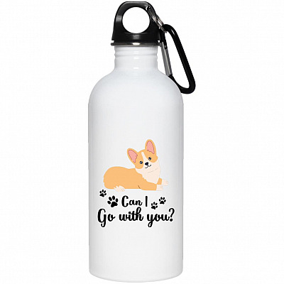 20 oz. Stainless Water Bottle