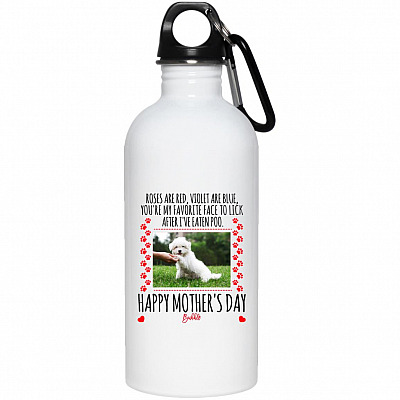 20 oz. Stainless Water Bottle