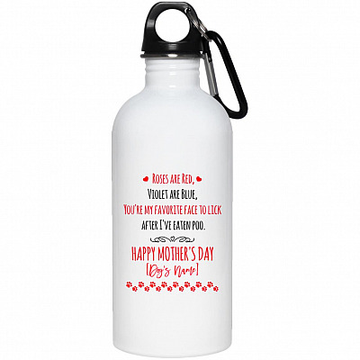 20 oz. Stainless Water Bottle