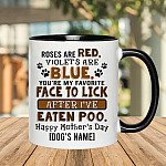 4Th.LickAfterIveEatenPooaccentmugmk1