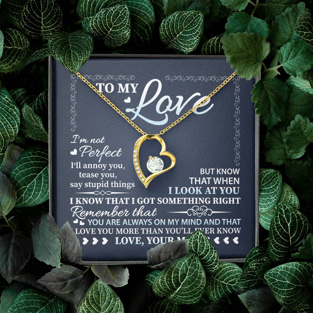 To My Love I'm Not Perfect I'll Annoy You but I Know You Are Right I Love You to Wife to Girlfriend Forever Love Heart Pendant Necklace