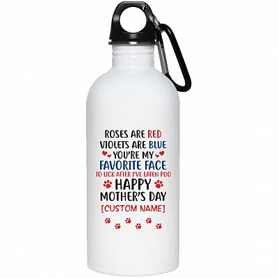20 oz. Stainless Water Bottle