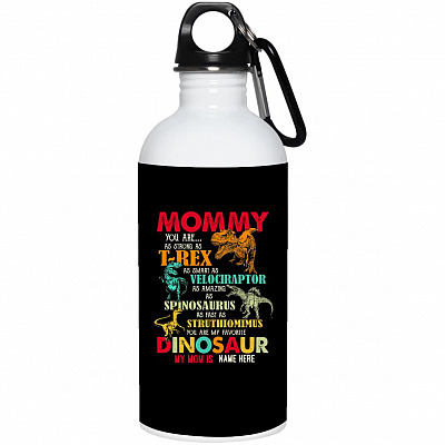 20 oz. Stainless Water Bottle