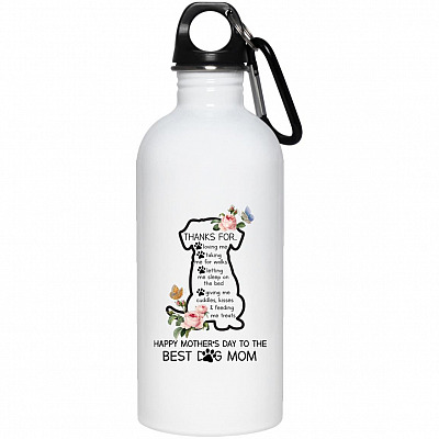 20 oz. Stainless Water Bottle