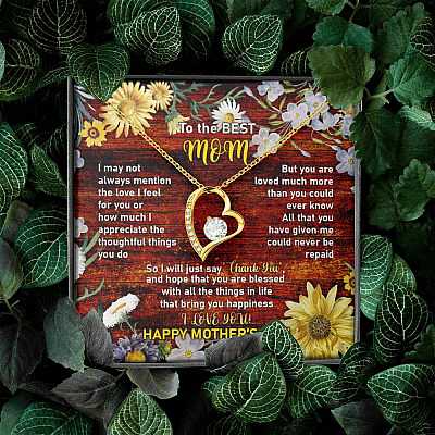To the Best Mom I May Not Always Mention the Love I Feel for You Forever Love Pendant Necklace