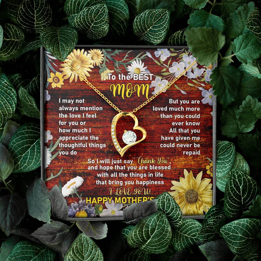 To the Best Mom I May Not Always Mention the Love I Feel for You Forever Love Pendant Necklace