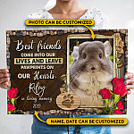 5MH. Pawprints Heart mk3