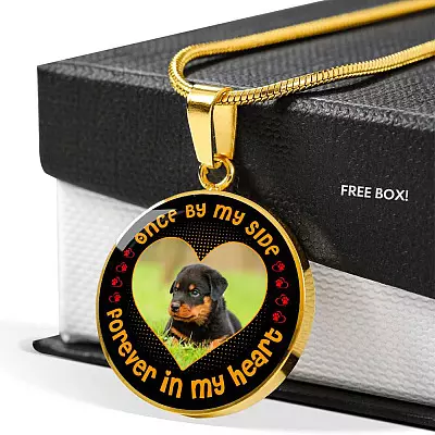 Personalized Photo Once by My Side Forever in My Heart Pet Owner Gifts Circle Pendant Necklace - Bangle