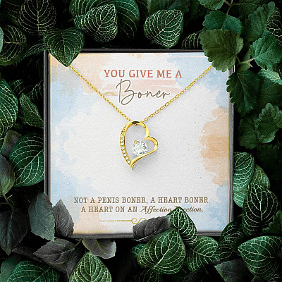 You Give Me A Boner Not A Penis Boner A Heart Boner A Heart On Funny Girlfriend Forever Love Heart Pendant Necklace