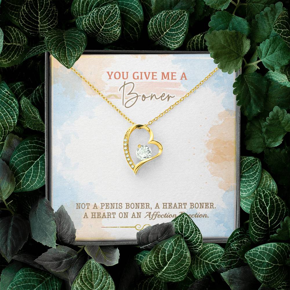 You Give Me A Boner Not A Penis Boner A Heart Boner A Heart On Funny Girlfriend Forever Love Heart Pendant Necklace