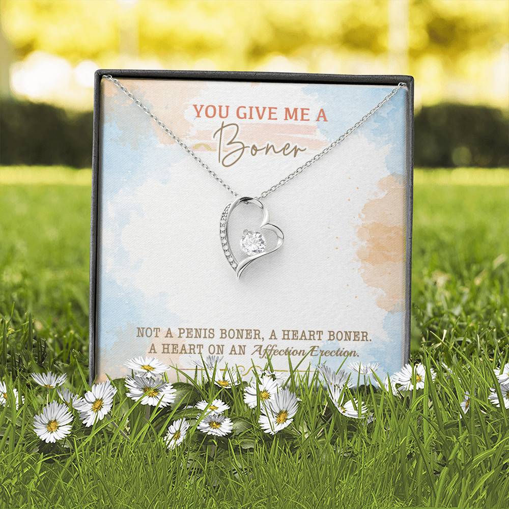You Give Me A Boner Not A Penis Boner A Heart Boner A Heart On Funny Girlfriend Forever Love Heart Pendant Necklace