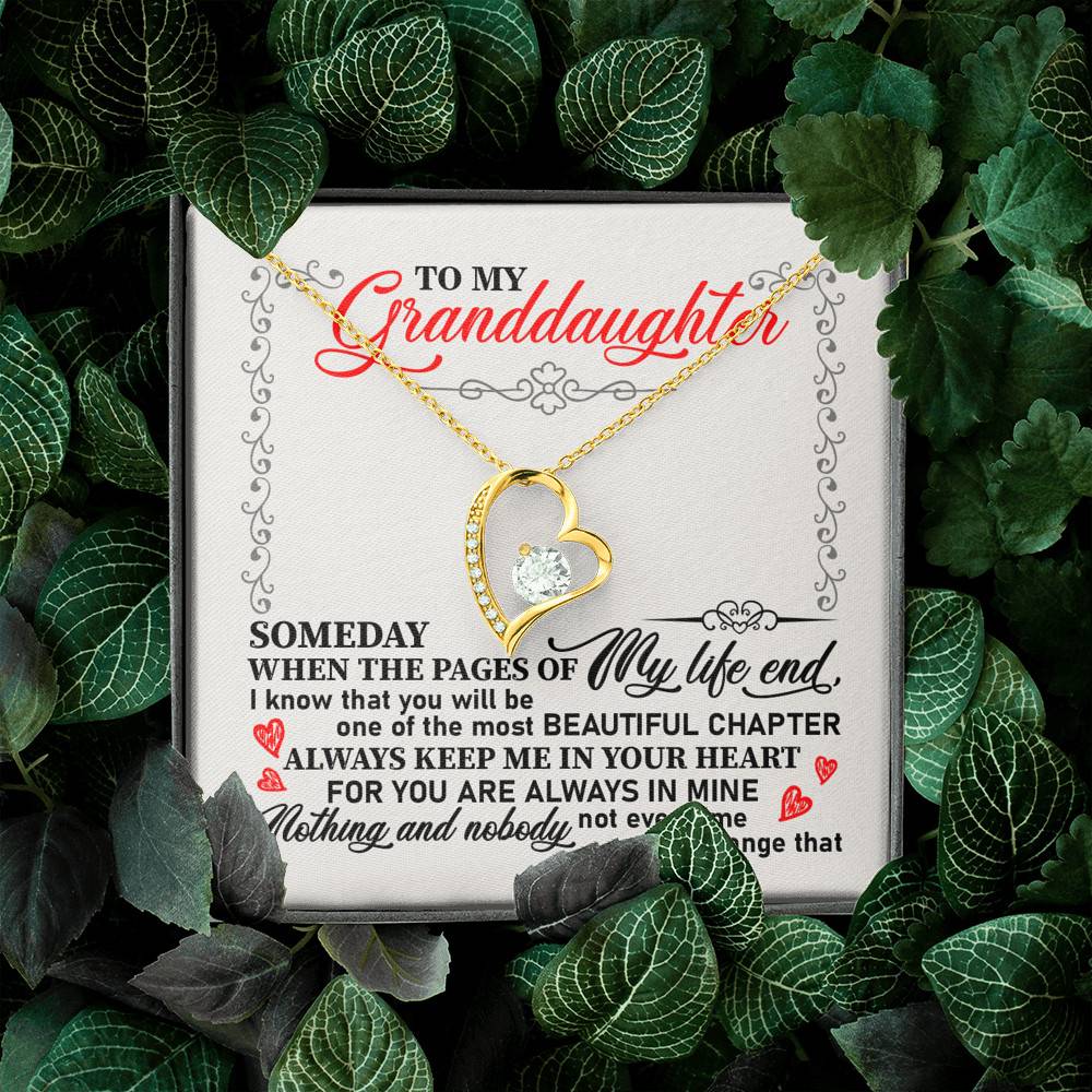 To My Granddaughter Someday When the Pages of My Life End Keep Me in Your Heart Forever Love Pendant Necklace