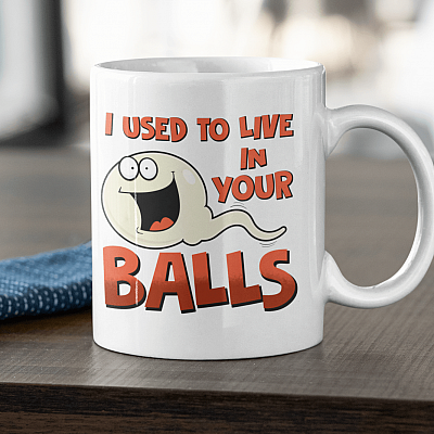 Funny Dad Coffee Mug I Used to Live in Your Balls Ceramic Coffee Mug - Water Bottle - Beer Stein