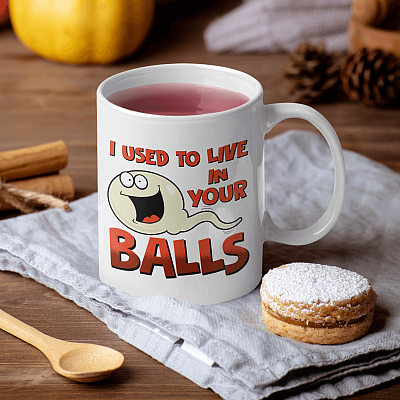 Alternative view of Funny Dad Coffee Mug I Used to Live in Your Balls Ceramic Coffee Mug - Water Bottle - Beer Stein