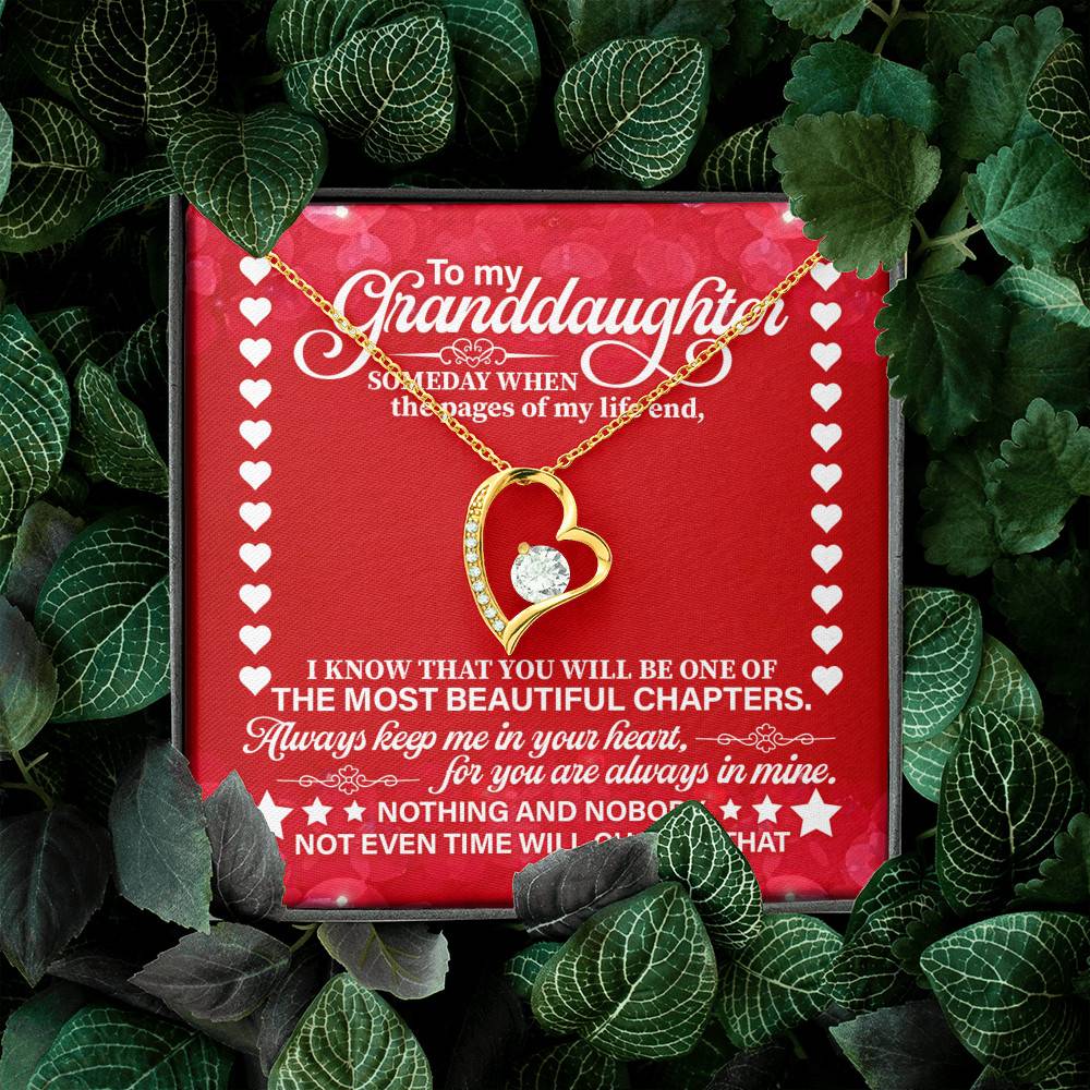 To My Granddaughter Someday When the Pages of My Life End Forever Love Pendant Necklace