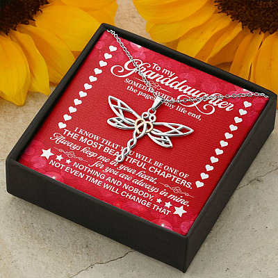 To My Granddaughter Someday When the Pages of My Life End Dragonfly Necklace