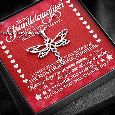 To My Granddaughter Someday When the Pages of My Life End Dragonfly Necklace