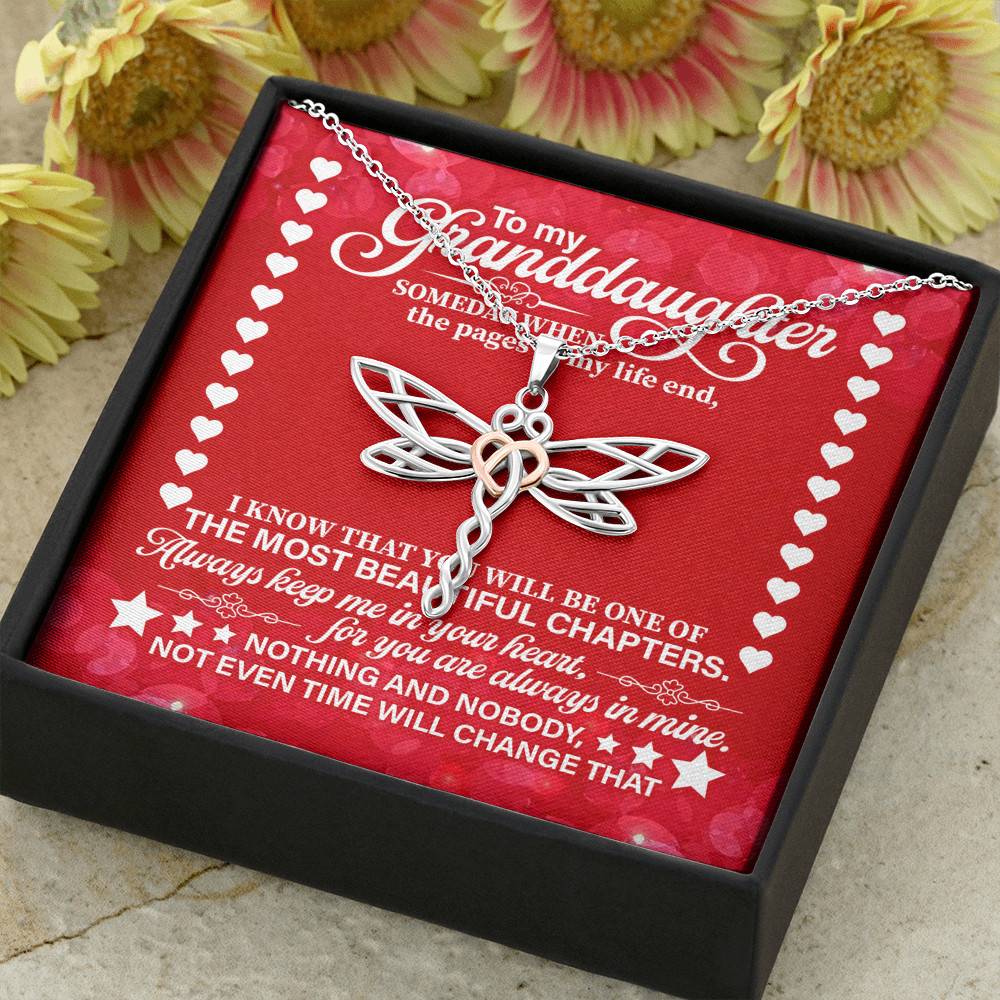 To My Granddaughter Someday When the Pages of My Life End Dragonfly Necklace