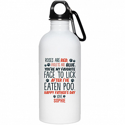 20 oz. Stainless Water Bottle