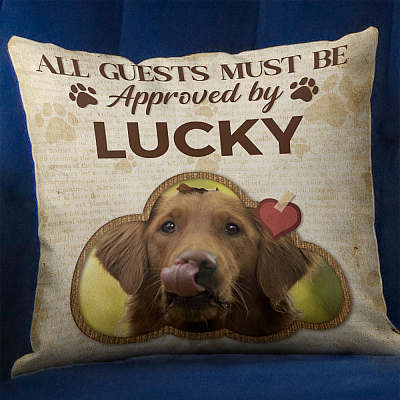 Pillow Cover & Insert