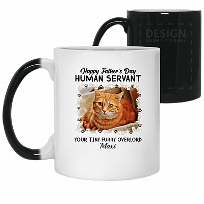 11 oz. Color Changing Mug