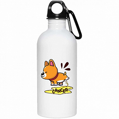 20 oz. Stainless Water Bottle