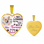 Custom Photo Dog No Longer By My Side But Forever In My Heart Heart Pendant Necklace - Missing Dog In Heaven Gift