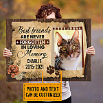 Custom Photo Pet Memorial Gift Best Friends Are Never Forgotten Framed Canvas Prints - Unframed Poster